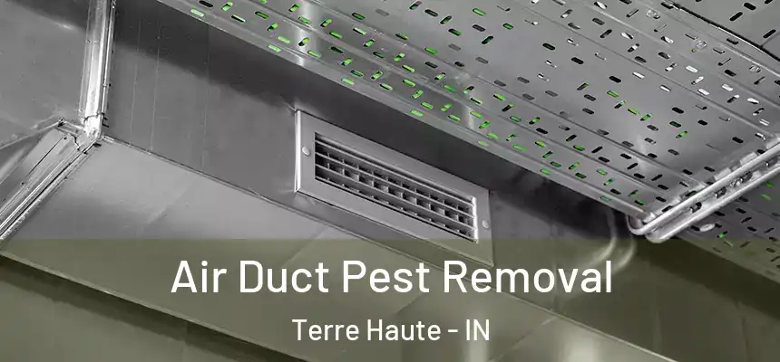  Air Duct Pest Removal Terre Haute - IN