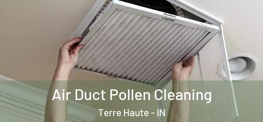 Air Duct Pollen Cleaning Terre Haute - IN