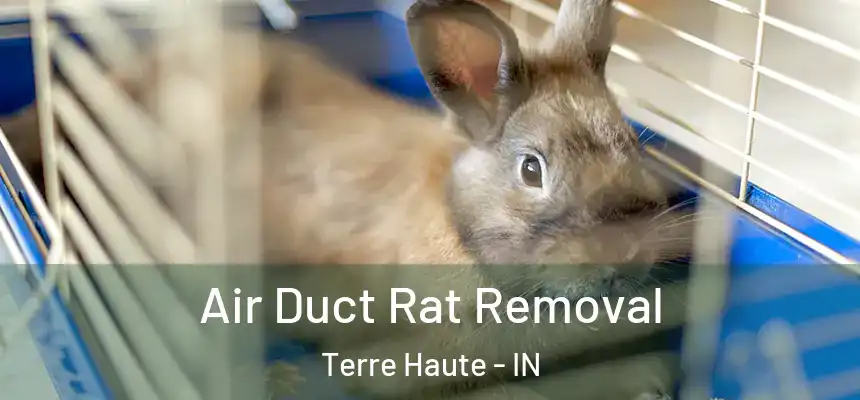 Air Duct Rat Removal Terre Haute - IN