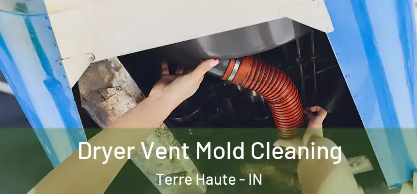 Dryer Vent Mold Cleaning Terre Haute - IN