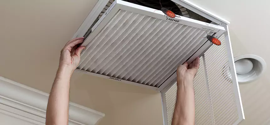 Preventive Cockroach-Proofing for Ducts in Terre Haute