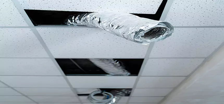 Our Air Duct Pet Hair Removal Services in Terre Haute, IN