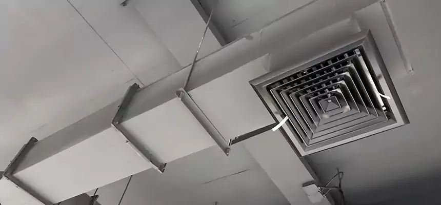 Our Rodent Droppings In Vents Services in Terre Haute, IN