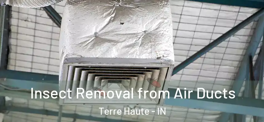 Insect Removal from Air Ducts Terre Haute - IN