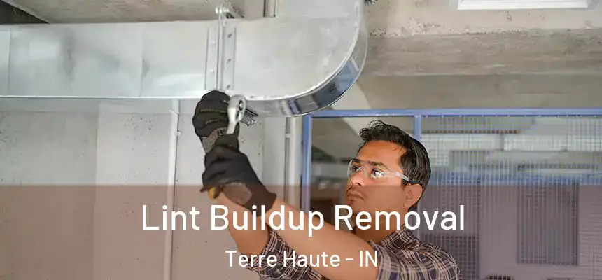 Lint Buildup Removal Terre Haute - IN