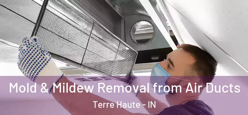  Mold & Mildew Removal from Air Ducts Terre Haute - IN