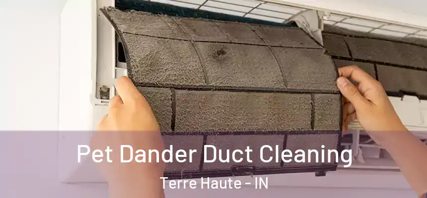 Pet Dander Duct Cleaning Terre Haute - IN