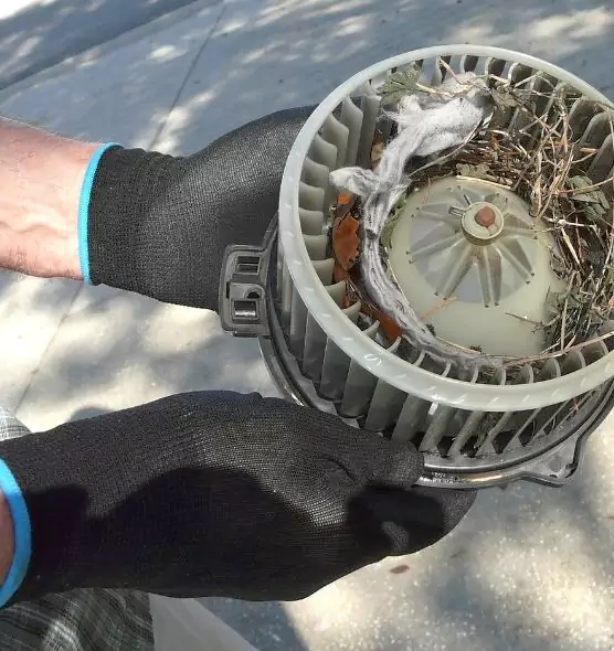 About Air Duct Mice Removal in Terre Haute, IN