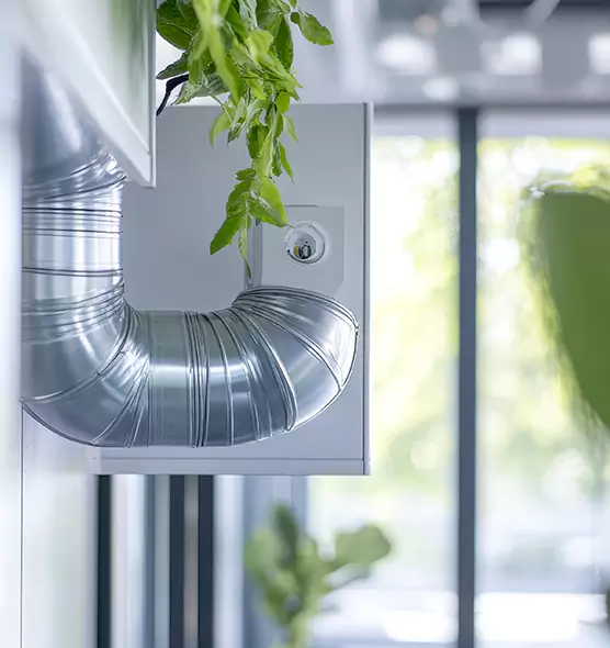 Professional Eco-Safe Dryer Vent Cleaning in Terre Haute, IN