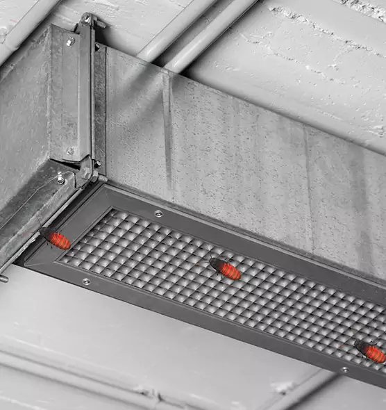 Affordable Insect Removal from Air Ducts in Terre Haute, IN