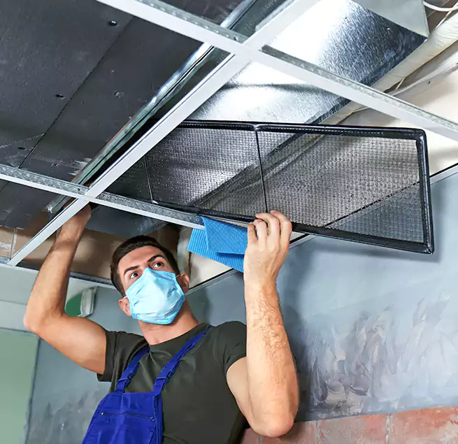 Why Homeowners Businesses Trust Us in Terre Haute, IN